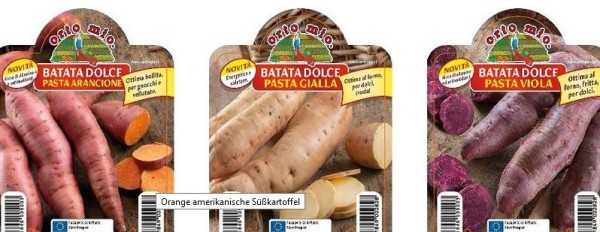 Süsskartoffel, 10/20 cm amerikanische, 3 Farben-Mix: gelb, orange, violett PP-Nr.: IT-08-1868