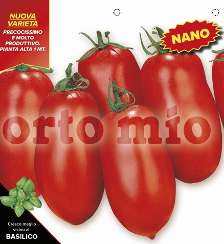 Tomaten Zwerg-San Marzano, Sorte Enzo (F1), 10/20 cm 1 m hoch; resistent gegen TSWV-Virus PP-Nr.: