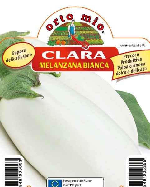 Melanzani, 10/20 cm weiß, Sorte Clara (F1) PP-Nr.: IT-08-1868