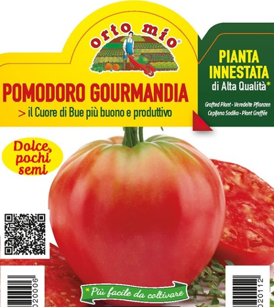 Tomaten veredelt, 10/20 cm klassische Ochsenherztomate, Sorte Gourmandia (F1) PP-Nr.: IT-08-1868