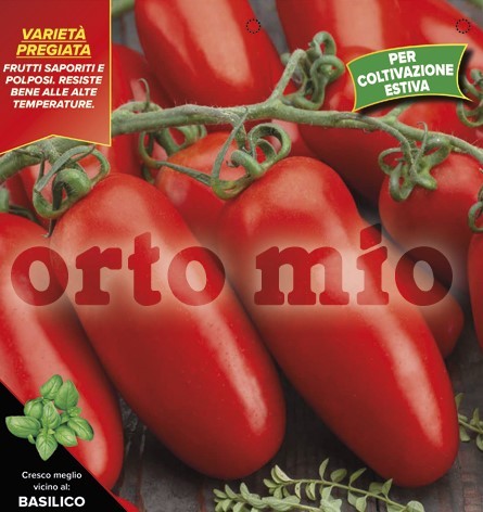 Tomaten, 4er Tasse cm Sommer-San Marzano an der Stange, Sorte Oskar (F1) PP-Nr.: IT-08-1868