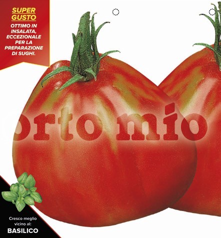 Tomaten Herztomate "Abruzzische Birne", Sorte Perbruzzo (F1), 6er Tasse PP-Nr.: IT-08-1868