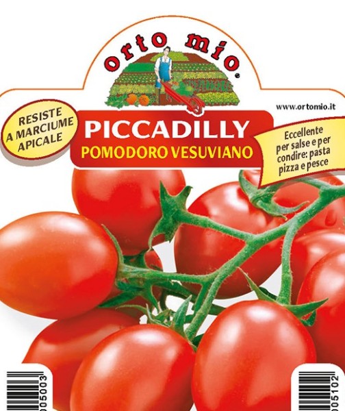 Tomaten vom Vesuv, Sorte Piccadilly (F1), 10/20 cm PP-Nr.: IT-08-1868