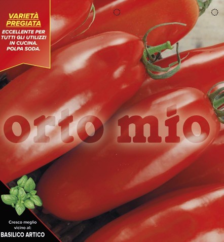 Tomaten San Marzano, Sorte Oskar (F1), 10/20 cm PP-Nr.: IT-08-1868