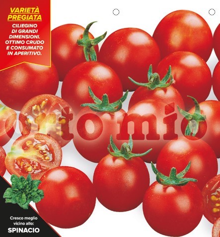 Tomaten, 6er Tasse cm Kirschtomate "Bingo", Sorte Twitter (F1) PP-Nr.: IT-08-1868