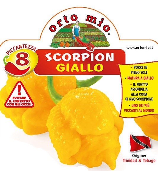 Chilli gelber Scorpion, scharf, 10/20 cm PP-Nr.: IT-08-1868