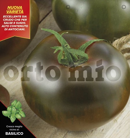 Tomaten "Schwarze aus Crimea", Sorte Kakao (F1), 10/20 cm PP-Nr.: IT-08-1868