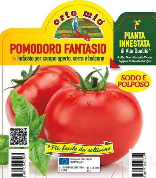 Melanzani veredelt, 14/30 cm lange, schmale Aubergine, Sorte Nilo (F1) PP-Nr.: IT-08-1868