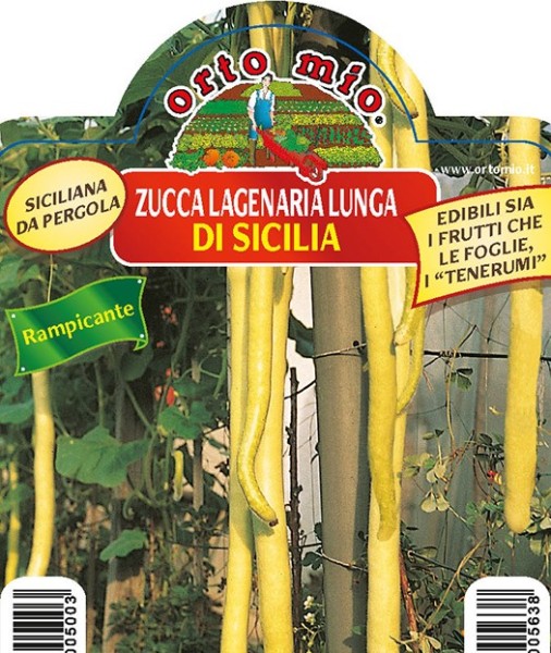 Kürbis Kletterkürbis, lang, dünn, hellgrün, Sorte Lagenaria aus Sizilien, 10/20 cm PP-Nr.: IT-08-1
