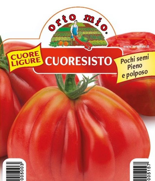 Tomaten ligurische Herztomate, Sorte Cuoresisto (F1), 10/20 cm resistent gegen TSWV-Virus PP-Nr.: