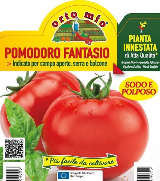 Tomaten veredelt, 14/30 cm rund, Sorte Fantasio (F1); resistent gegen Mahltau PP-Nr.: IT-08-1868