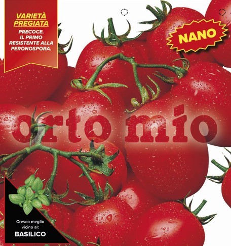 Tomaten Sorte "Rio Grande" H 1281, 6er Tasse/ cm (resistent gegen Mehltau) PP-Nr.: IT-08-1868