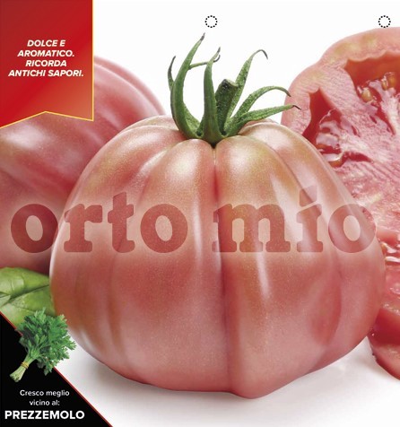 Tomaten ligurische Herztomate, rosa, Sorte Rosamunda (F1), 10/20 cm PP-Nr.: IT-08-1868