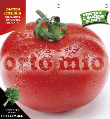 Tomaten, 6er Tasse cm rund, Sorte Web (F1) (resistent gegen TSWV-Virus) PP-Nr.: IT-08-1868