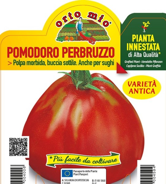 Tomaten veredelt "Abruzzen-Birne", Sorte Deko (F1), 14/30 cm resistent gegen TSWV-Virus PP-Nr.: I