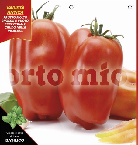 Tomaten San Marzano, kernlos, Sorte Scatolone , 6er Tasse PP-Nr.: IT-08-1868