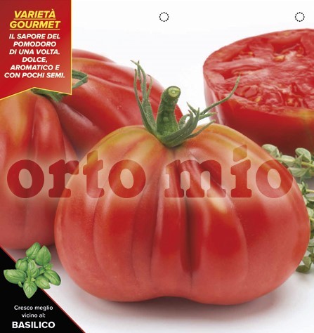 Tomaten, 6er Tasse cm ligurische Herztomate, Sorte Cuoresisto (F1) (resistent gegen TSWV-Virus) P