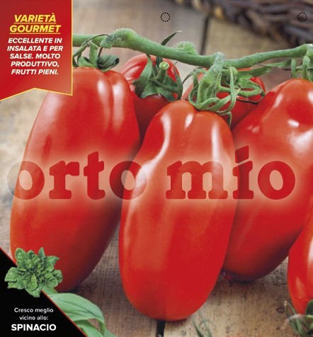 Tomaten, 6er Tasse cm San Marzano, Sorte Adamo (F1) PP-Nr.: IT-08-1868