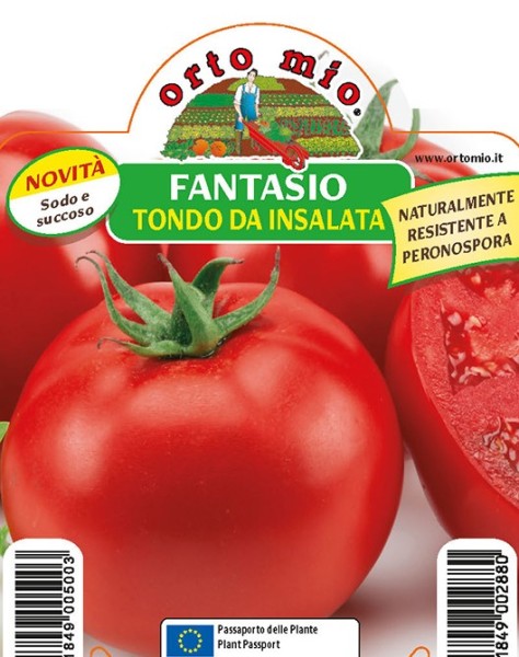 Tomaten, 10/20 cm rund, Sorte Fantasio (F1); resistent gegen Mahltau PP-Nr.: IT-08-1868
