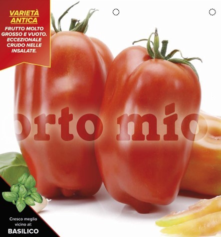 Tomaten kernlose San Marzano, lang, Sorte Scatolone , 10/20 cm PP-Nr.: IT-08-1868
