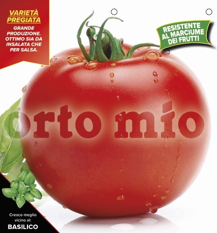 Tomaten, 6er Tasse cm rund, Sorte Melody (F1) (resistent gegen TSWV-Virus) PP-Nr.: IT-08-1868