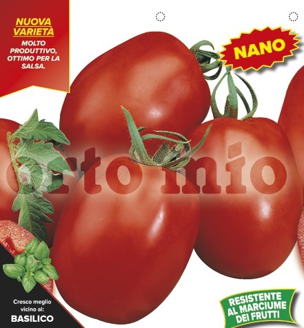 Tomaten ovale römische, Sorte lIVIO (F1), 6er Tasse/ cm (resistent gegen Mehltau) PP-Nr.: IT-08-1
