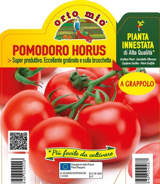 Tomaten veredelt, 14/30 cm runde Rispentomate, Sorte Horus (F1) PP-Nr.: IT-08-1868