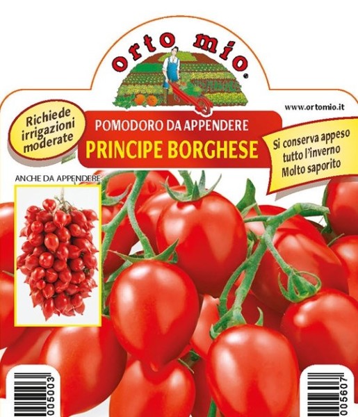 Tomaten, 10/20 cm kleine Rispentomate, rot, zum Lufttrocknen, Sorte Principe Borghese PP-Nr.: IT-