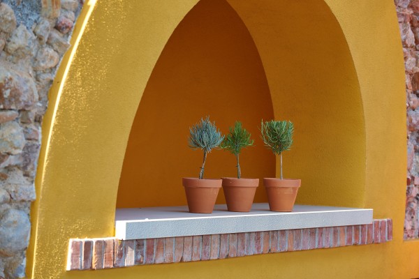 Kräuterpflanzen, Stamm 14 cm in Terracottatopf Sortenmix je nach Lieferbarkeit! PP-Nr.: IT-07-02