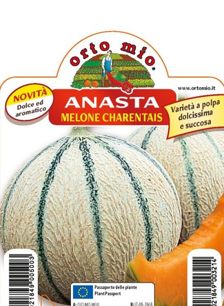 Melonen Charentais (Zuckermelone), Sorte Anasta (F1), 10/20 cm resistent gegen Mahltau PP-Nr.: IT