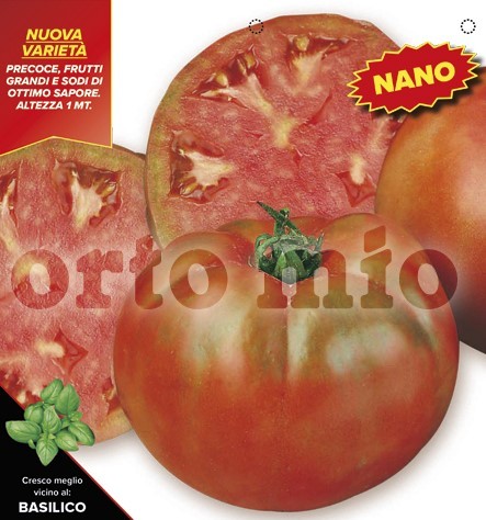 Tomaten runde Zwergtomate, Sorte Bellarosa (F1); resistent gegen TSWV-Virus, 4er Tasse PP-Nr.: IT-