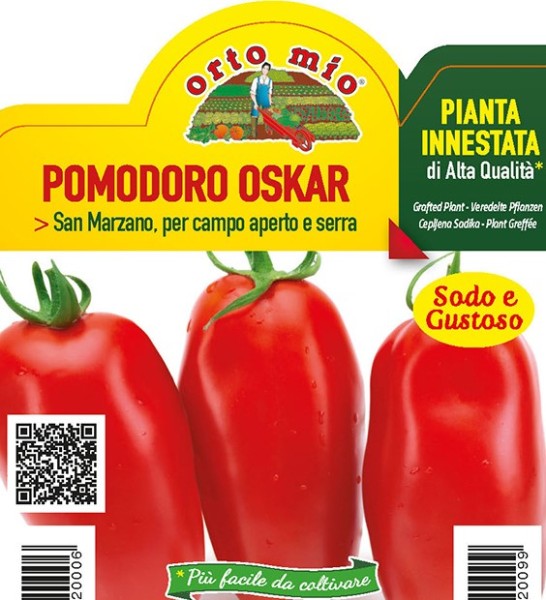 Tomaten veredelt, 10/20 cm lang San Marzano, Sorte Oskar (F1) PP-Nr.: IT-08-1868