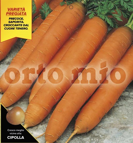 Karotte Karotte Nantese (orange), 16er Tasse/ cm Sorten Soprano u. Bolero (F1), PP-Nr.: IT-08-18