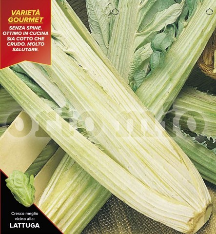 Distel, 4er Tasse cm "Hundert Blätter" (wilde Artischoke) PP-Nr.: IT-08-1868