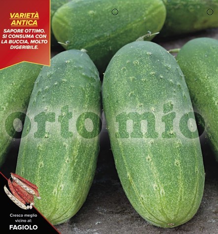 Gurken , 4er Tasse cm Polignano-Gurke (Senfgurke) PP-Nr.: IT-08-1868