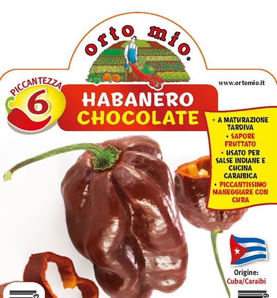 Chilli Habanero chocolat, sehr scharf, 14/30 cm (400.000 Scoville) PP-Nr.: IT-08-1868