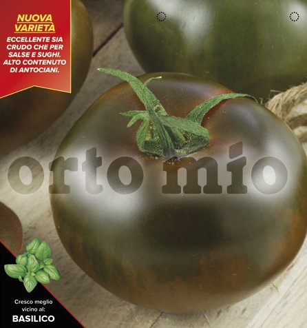 Tomaten, 6er Tasse cm "Schwarze aus Crimea", Sorte Kakao (F1) PP-Nr.: IT-08-1868