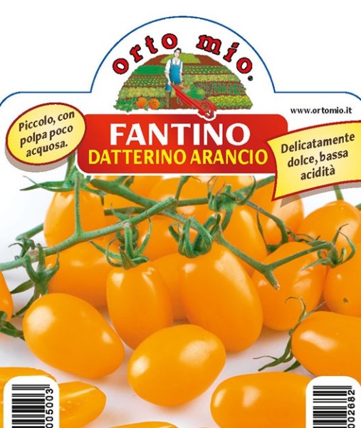 Tomaten, 10/20 cm Datteltomate, orange, Sorte Fantino (F1) PP-Nr.: IT-08-1868