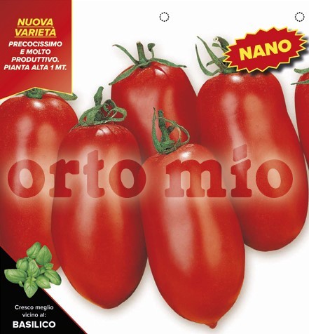Tomaten Zwerg-San Marzano, Sorte Enzo (F1), 4er Tasse resistent gegen TSWV-Virus PP-Nr.: IT-08-18
