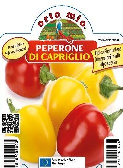 Paprika, 10/20 cm aus Capriglio (typischer Piemonte-Paprika) PP-Nr.: IT-08-1868