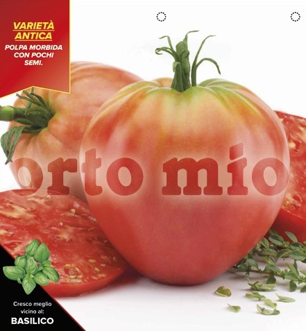 Tomaten, 6er Tasse cm klassische Herztomate, Sorte Dolcecuore (F1) PP-Nr.: IT-08-1868
