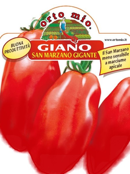 Tomaten Riesen-San Marzano, Sorte Giano (F1), 10/20 cm unempfindlich gegen apikale Fäule PP-Nr.: