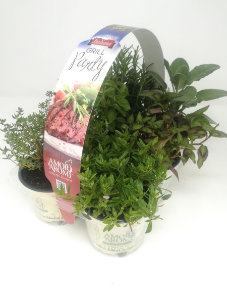 "Aromi e Amore", Busch 10/15 cm Grill Party" 6er Pack Gewürze PP-Nr.: IT-07-0526