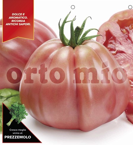 Tomaten ligurische Herztomate, rosa, Sorte Rosamunda (F1), 6er Tasse PP-Nr.: IT-08-1868