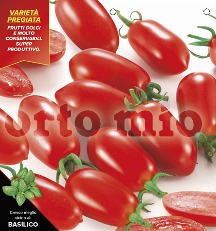 Tomaten Datteltomate, länglich, Sorte Lobello (F1), 6er Tasse PP-Nr.: IT-08-1868