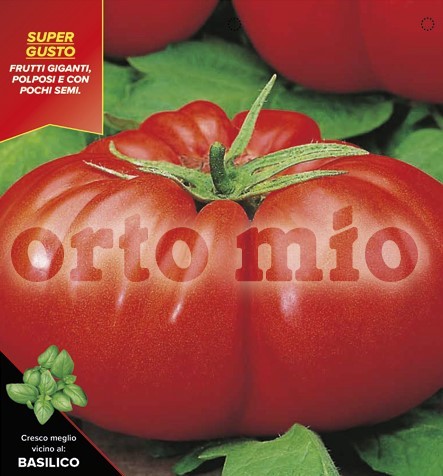 Tomaten Riesentomate, Sorte Beefsteak (F1), 6er Tasse PP-Nr.: IT-08-1868