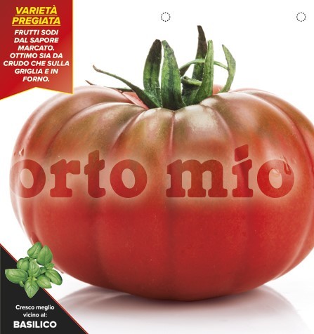 Tomaten, 6er Tasse cm Fleischtomate, Sorte Marmyto (F1) PP-Nr.: IT-08-1868