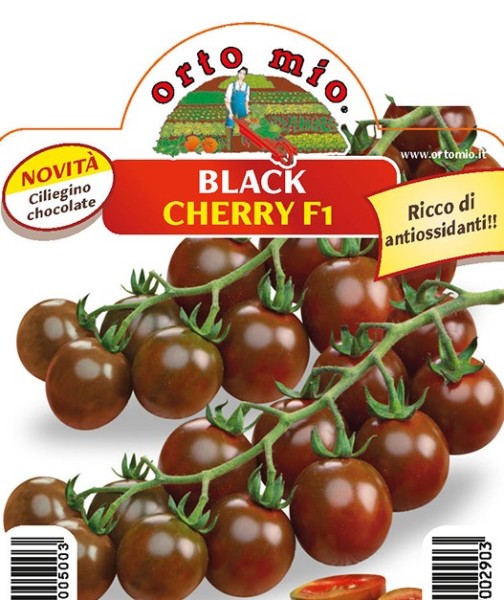 Tomaten Kirschtomate chocolate "Black Cherry", 10/20 cm Sorte Luther (F1) PP-Nr.: IT-08-1868
