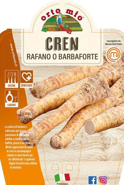 Kren, 14/30 cm Wurzel PP-Nr.: IT-08-1868