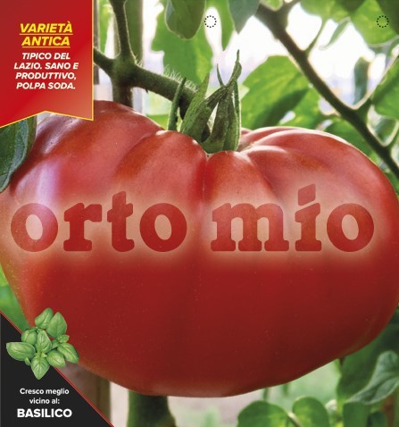 Tomaten, 6er Tasse cm römische Fleischtomate, Sorte Veronica (F1) PP-Nr.: IT-08-1868